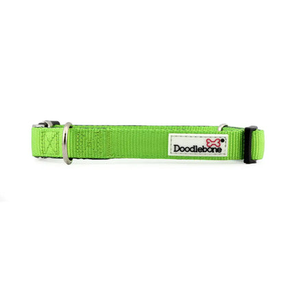 Doodlebone Originals Padded Dog Collar - Apple Green - Doodlebone - 1