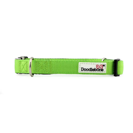 Doodlebone Originals Padded Dog Collar - Apple Green - Doodlebone - 1