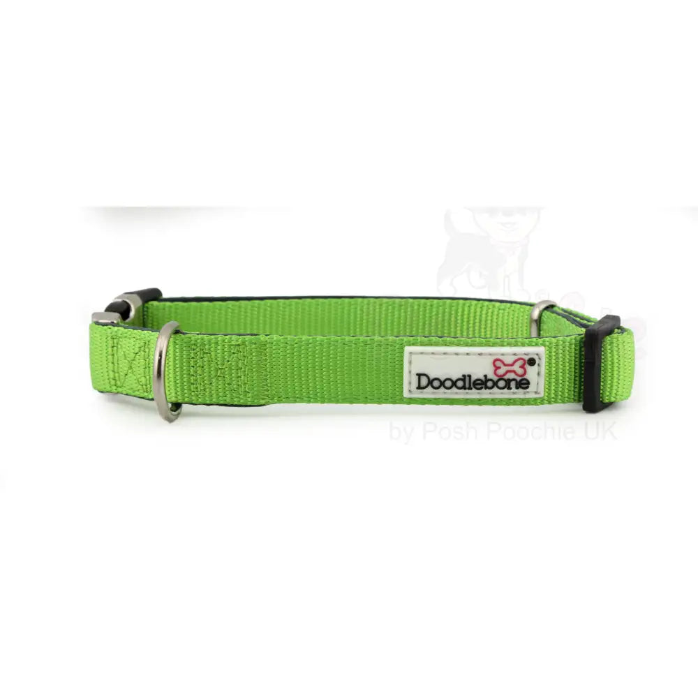 Doodlebone Originals Padded Dog Collar - Apple Green - Doodlebone - 3