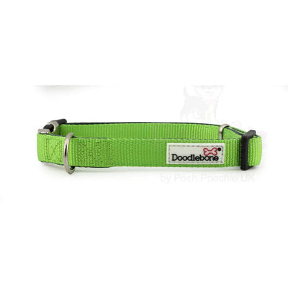 Doodlebone Originals Padded Dog Collar - Apple Green - Doodlebone - 3