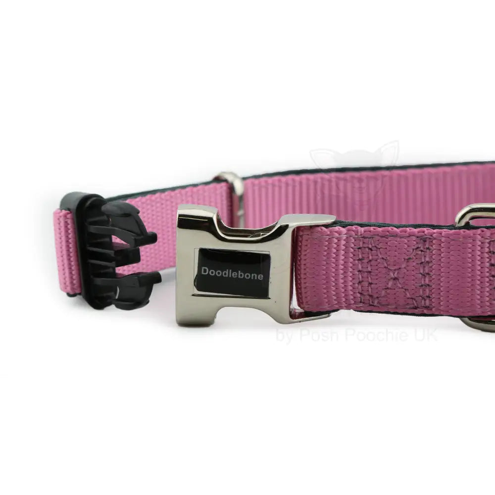 Doodlebone Originals Padded Dog Collar - Blush Pink - Doodlebone - 2