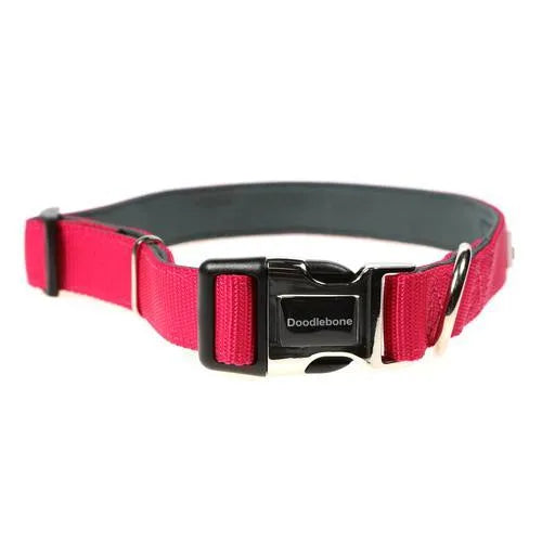 Doodlebone Originals Padded Dog Collar - Fuchsia - Doodlebone - 1