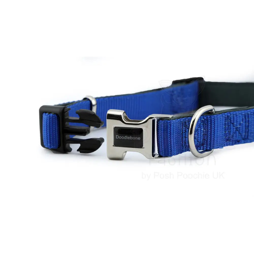 Doodlebone Originals Padded Dog Collar - Sapphire Blue - Doodlebone - 2