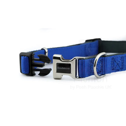 Doodlebone Originals Padded Dog Collar - Sapphire Blue - Doodlebone - 2