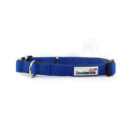 Doodlebone Originals Padded Dog Collar - Sapphire Blue - Doodlebone - 3