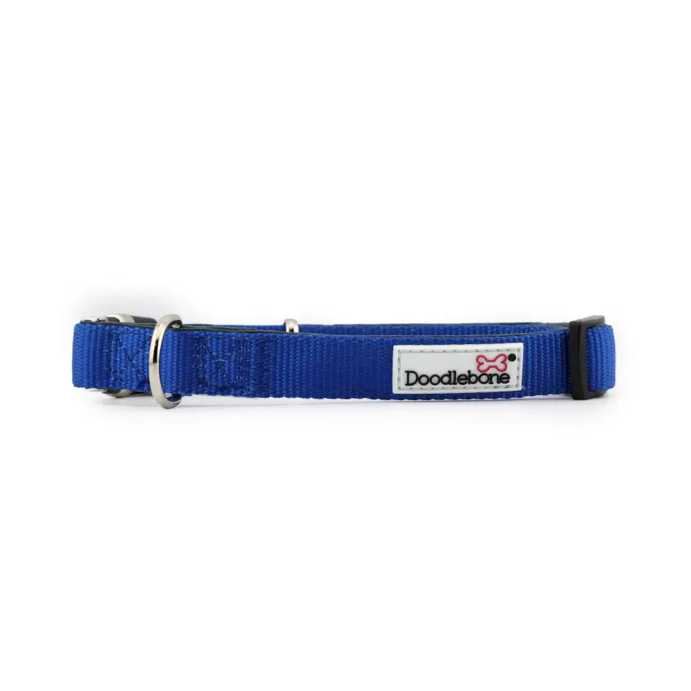 Doodlebone Originals Padded Dog Collar - Sapphire Blue - Doodlebone - 1