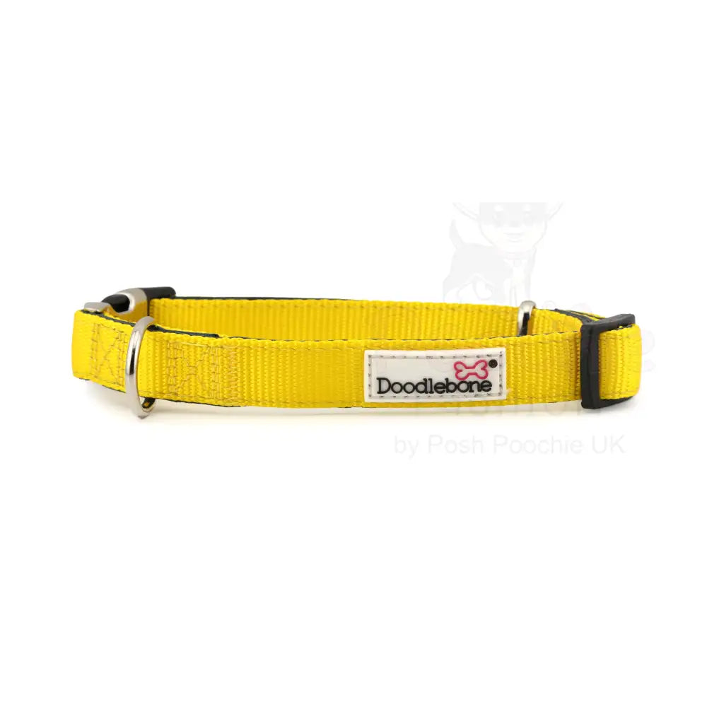 Doodlebone Originals Padded Dog Collar - Sunshine Yellow - Doodlebone - 3