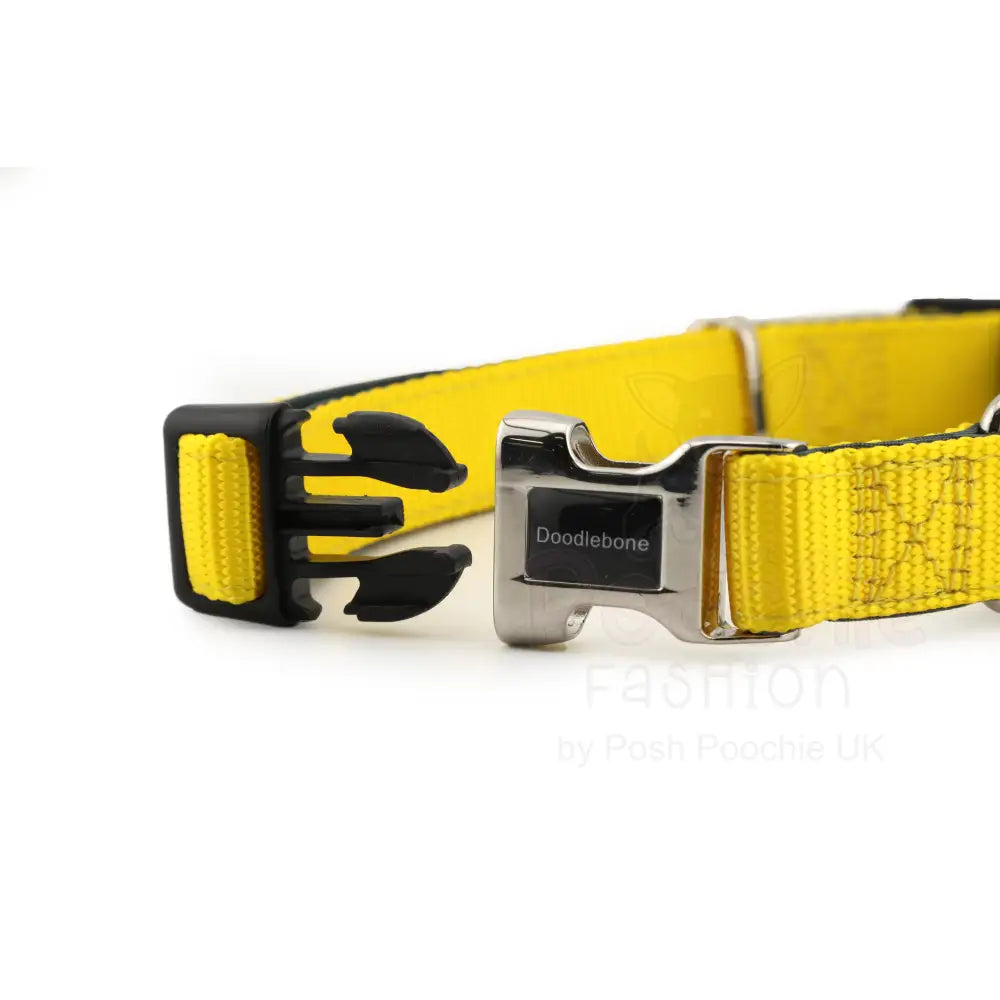 Doodlebone Originals Padded Dog Collar - Sunshine Yellow - Doodlebone - 2