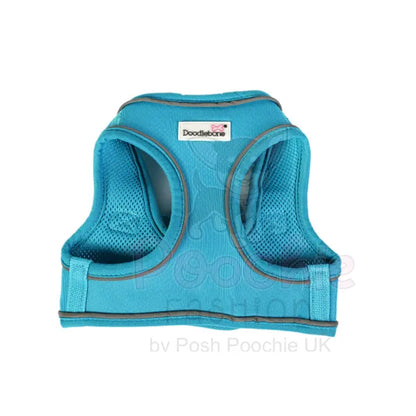 Doodlebone Originals Snappy Dog Harness - Aqua Blue - Doodlebone - 2