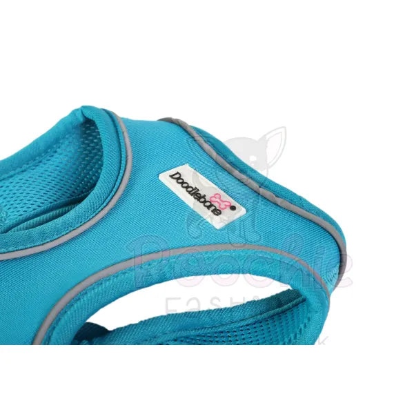 Doodlebone Originals Snappy Dog Harness - Aqua Blue - Doodlebone - 5