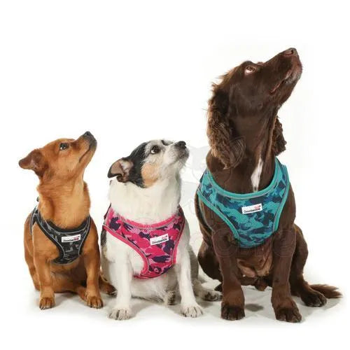 Doodlebone Originals Snappy Dog Harness - Electric Party - Doodlebone - 5