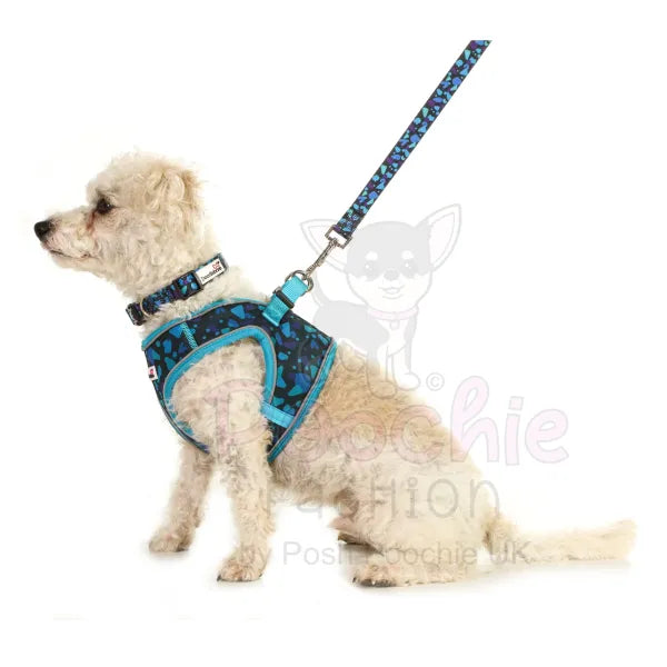 Doodlebone Originals Snappy Dog Harness - Electric Party - Doodlebone - 3