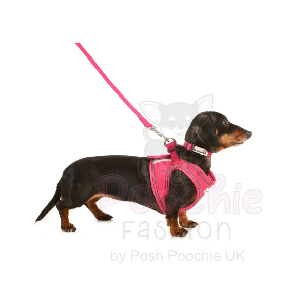 Doodlebone Originals Snappy Dog Harness - Fuchsia Pink - Doodlebone - 4
