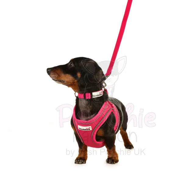 Doodlebone Originals Snappy Dog Harness - Fuchsia Pink - Doodlebone - 5
