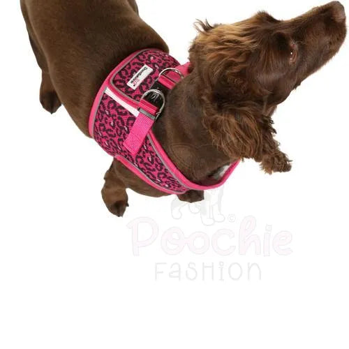 Doodlebone Originals Snappy Dog Harness - Ruby Red - Doodlebone - 5