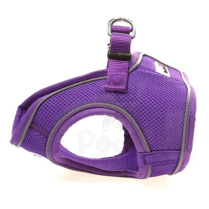 Doodlebone Originals Snappy Dog Harness - Violet Purple - Doodlebone - 2