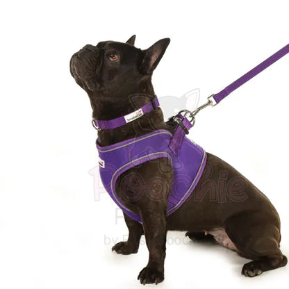 Doodlebone Originals Snappy Dog Harness - Violet Purple - Doodlebone - 5