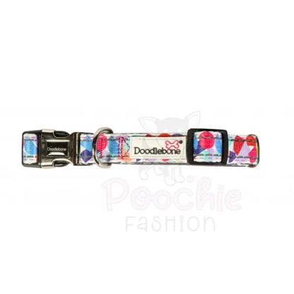 Doodlebone Padded Dog Collar - Abstract - Doodle - 3