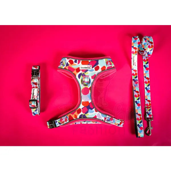 Doodlebone Padded Dog Collar - Abstract - Doodle - 4
