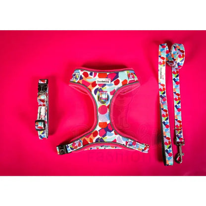 Doodlebone Padded Dog Collar - Abstract - Doodle - 4