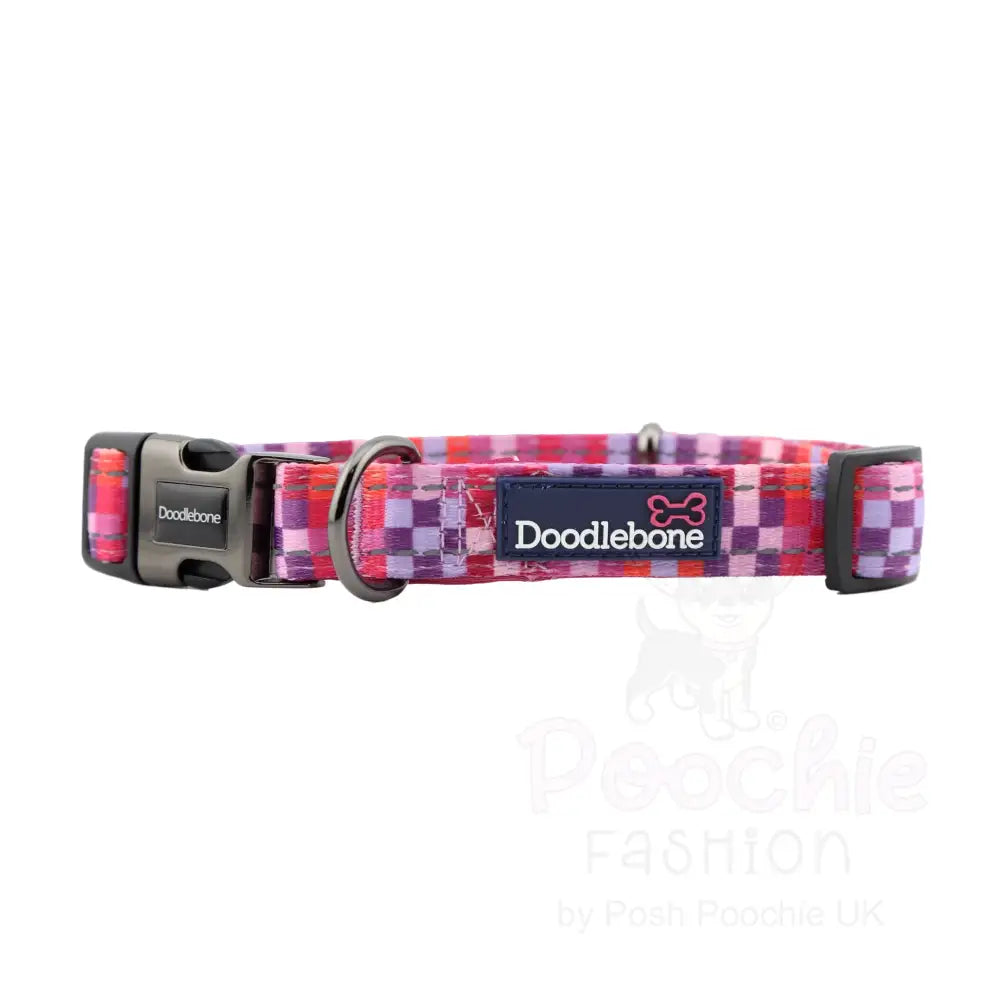 Doodlebone Padded Dog Collar - Checkmate - Doodlebone - 3
