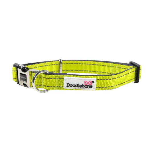 Doodlebone Padded Dog Collar - Citrus - Doodle - 1