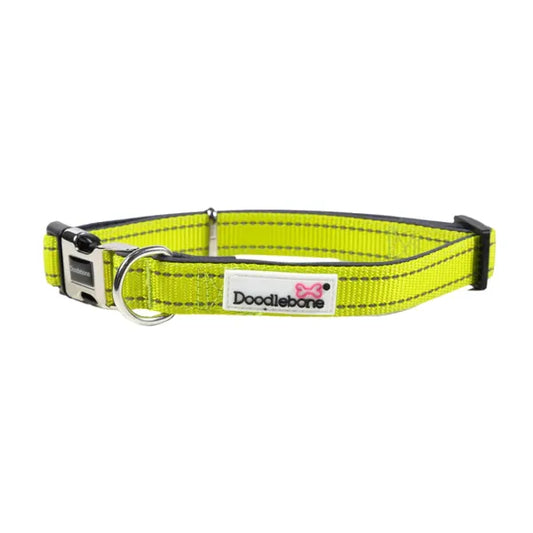 Doodlebone Padded Dog Collar - Citrus Doodle 1