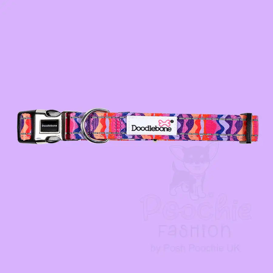 Doodlebone Padded Dog Collar - Dunes - Doodle - 2