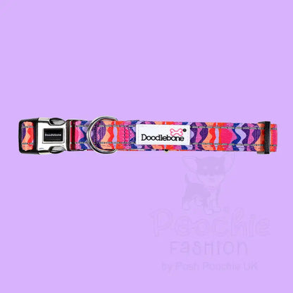 Doodlebone Padded Dog Collar - Dunes - Doodle - 2