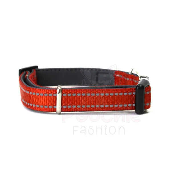 Doodlebone Padded Dog Collar Pumpkin Poochie Fashion