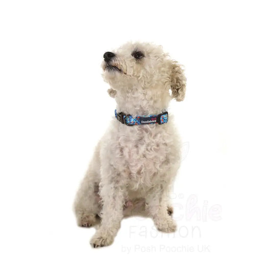 Doodlebone Padded Dog Collar - Reef - Doodle - 2