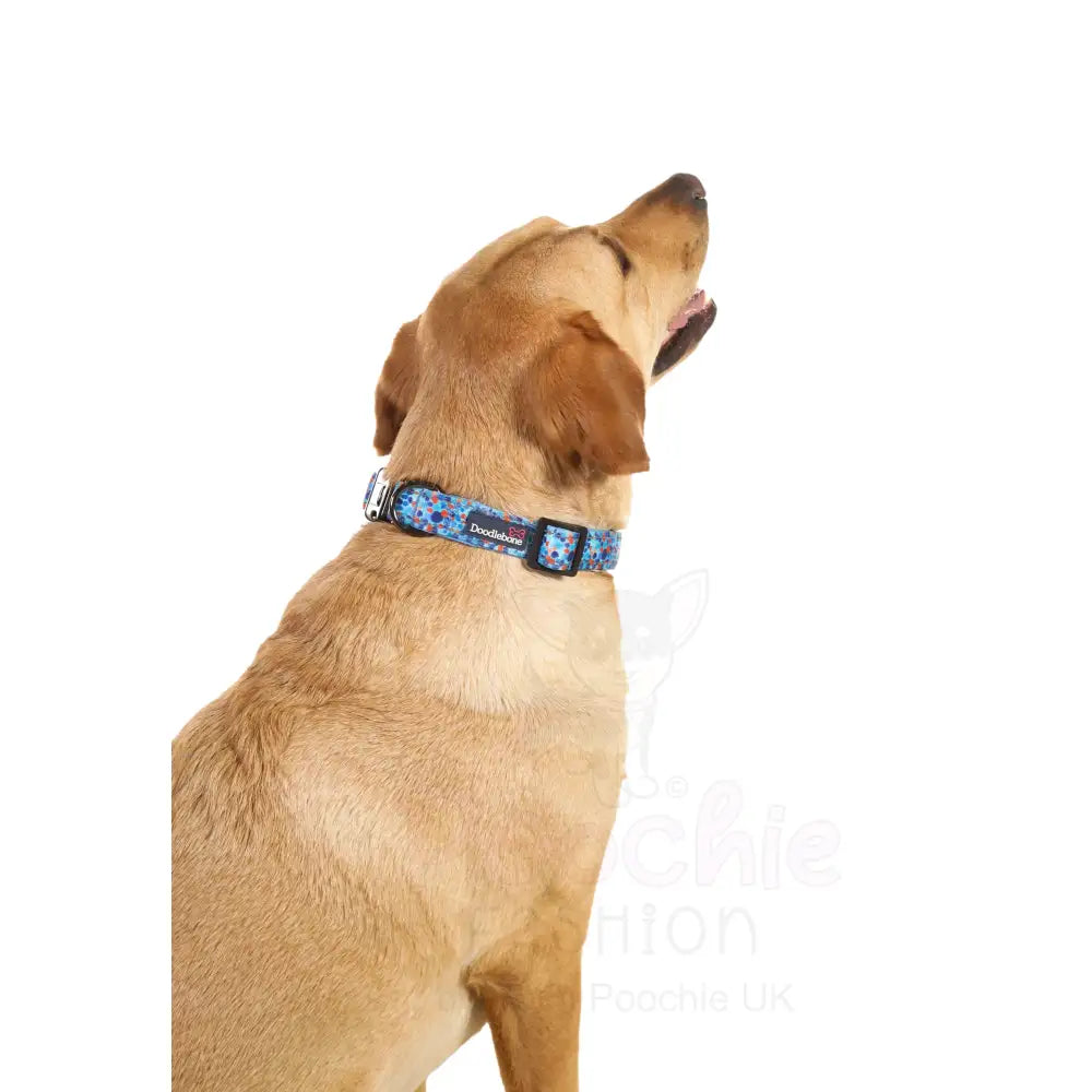 Doodlebone Padded Dog Collar - Reef - Doodle - 3