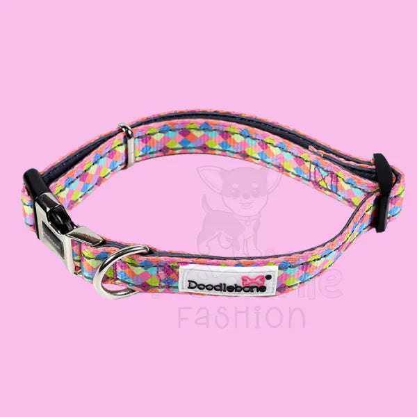 Doodlebone Padded Dog Collar - Retro - Doodle - 3