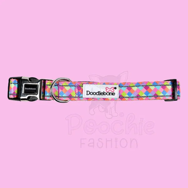 Doodlebone Padded Dog Collar - Retro - Doodle - 2