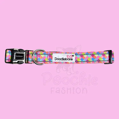 Doodlebone Padded Dog Collar - Retro - Doodle - 2