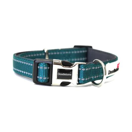 Doodlebone Padded Dog Collar - Teal - Doodle - 1