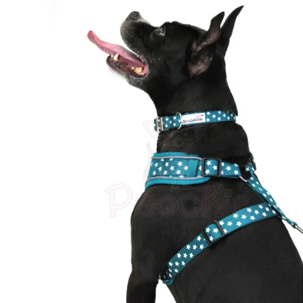 Doodlebone Padded Dog Collar - Teal Stars Glow in the Dark - Doodle - 4