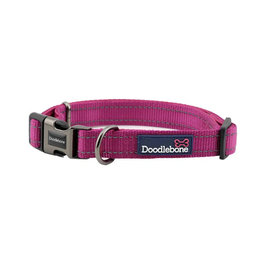Doodlebone Padded Dog Collar - Thistle - Doodlebone - 1