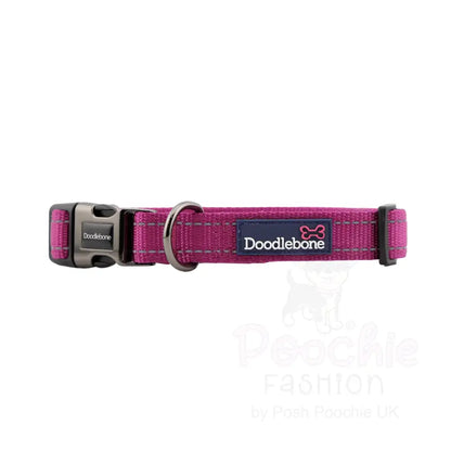 Doodlebone Padded Dog Collar - Thistle - Doodlebone - 3