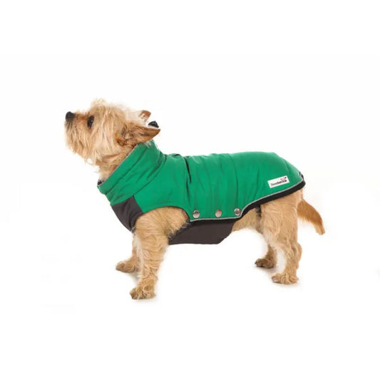 Doodlebone Puffer Dog Jacket in Forest Green - Doodle - 1