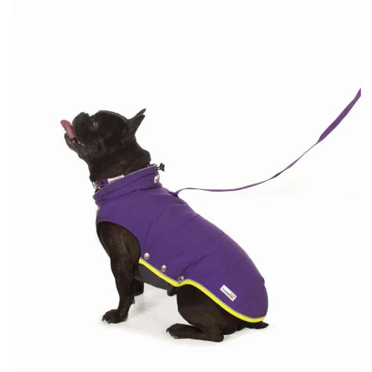 Doodlebone Puffer Dog Jacket in Violet - Doodle - 1