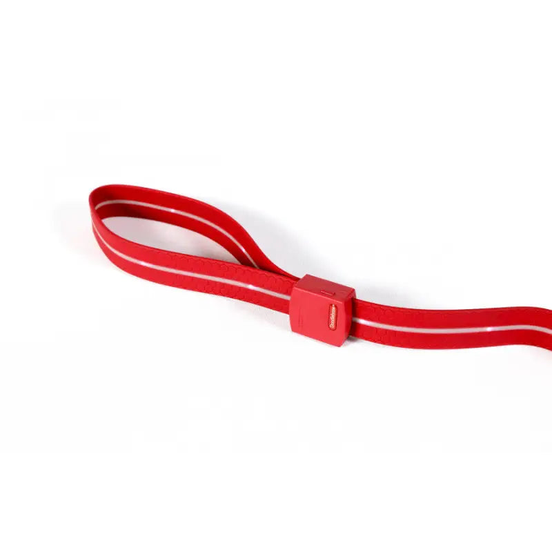 Doodlebone Rechargeable Light-up Dog Lead Berry Red - Doodlebone - 5