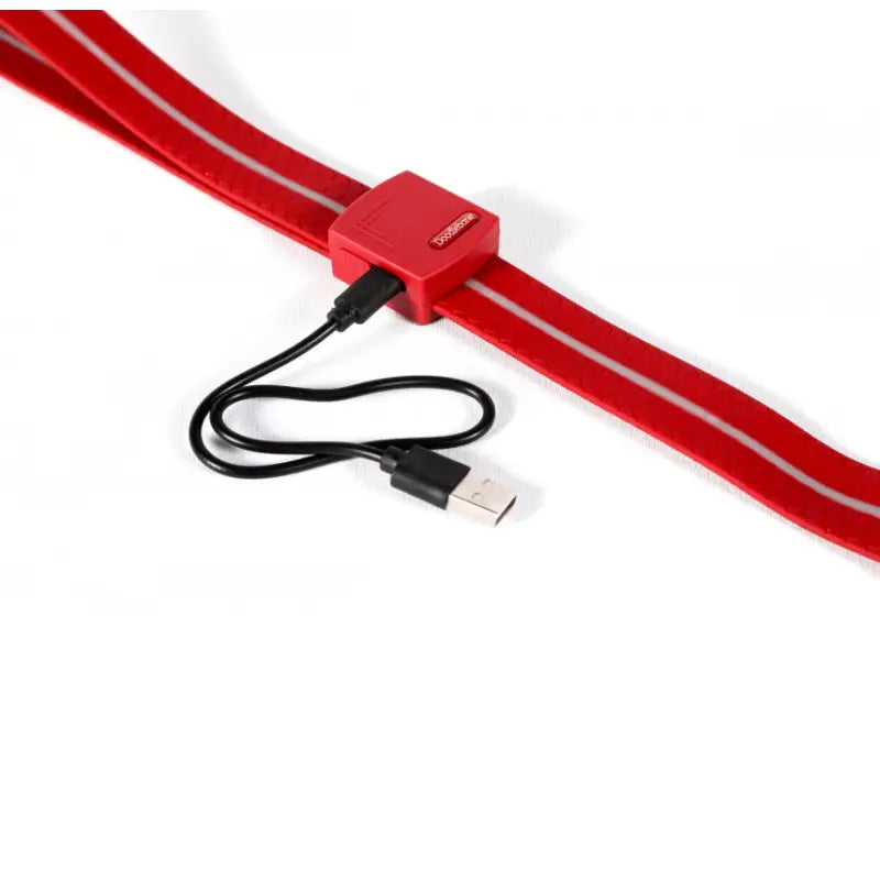 Doodlebone Rechargeable Light-up Dog Lead Berry Red - Doodlebone - 3