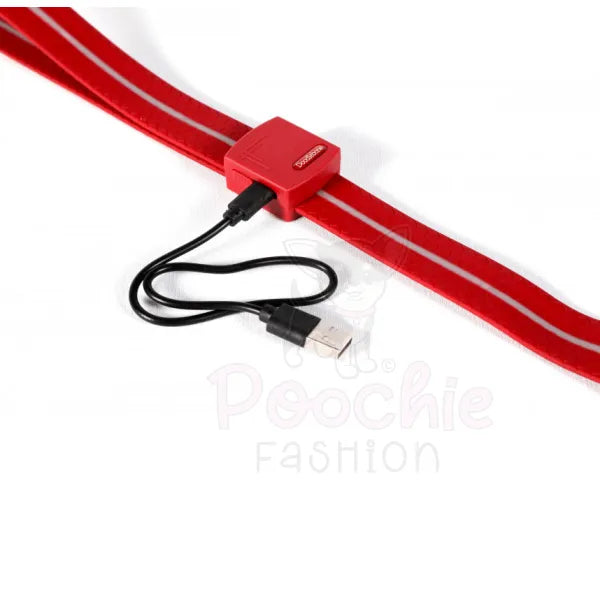 Doodlebone Rechargeable Light-up Dog Lead Berry Red - Doodlebone - 4