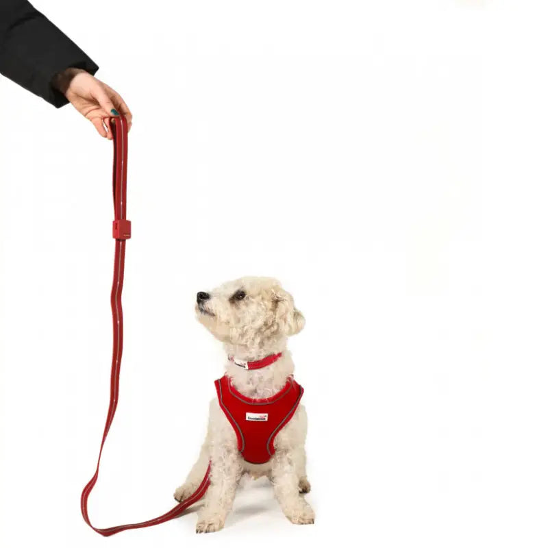 Doodlebone Rechargeable Light-up Dog Lead Berry Red - Doodlebone - 6
