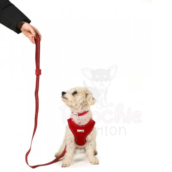 Doodlebone Rechargeable Light-up Dog Lead Berry Red - Doodlebone - 7
