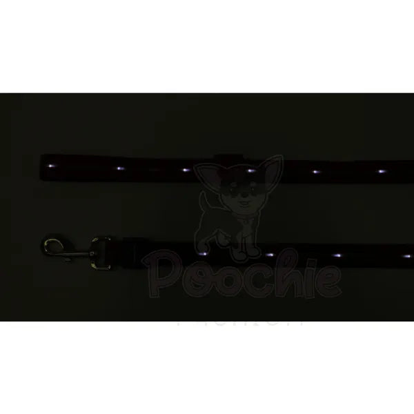 Doodlebone Rechargeable Light-up Dog Lead Berry Red - Doodlebone - 8