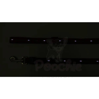 Doodlebone Rechargeable Light-up Dog Lead Berry Red - Doodlebone - 8