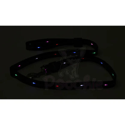 Doodlebone Rechargeable Light-up Dog Lead Black - Doodlebone - 9