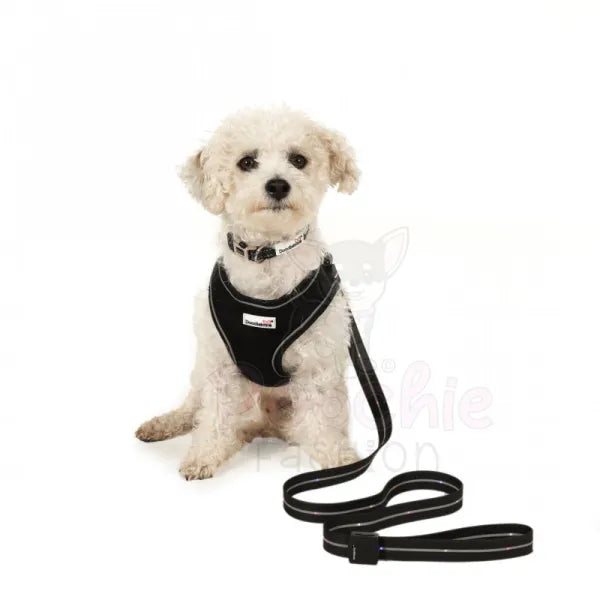 Doodlebone Rechargeable Light-up Dog Lead Black - Doodlebone - 7